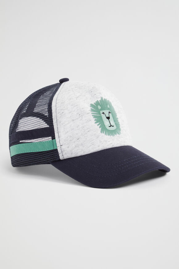 Lion Cap  Multi  hi-res