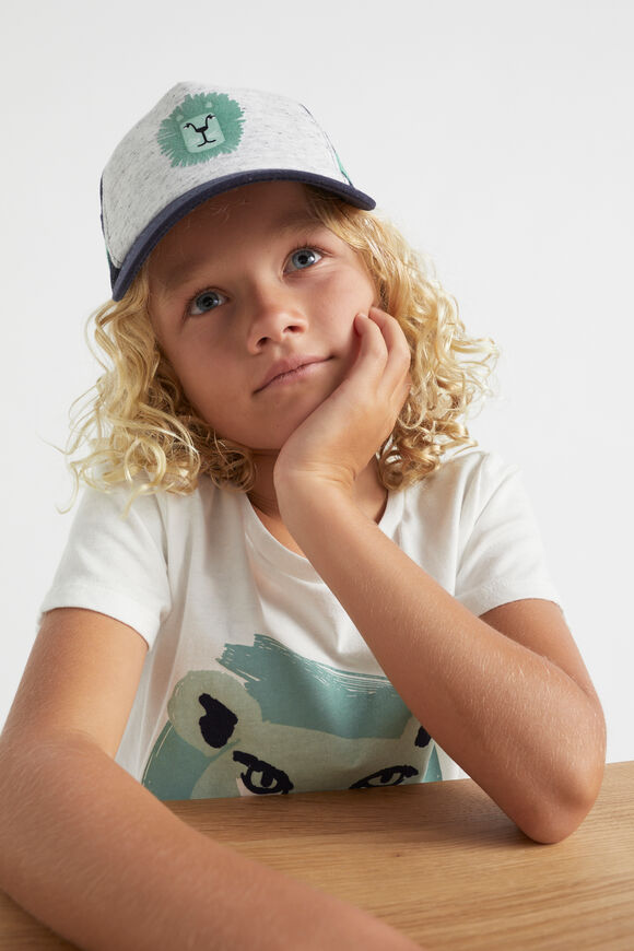 Lion Cap  Multi  hi-res