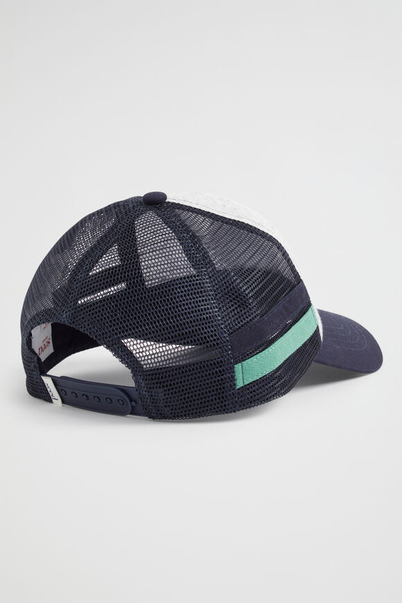 Lion Cap  Multi  hi-res