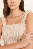 Stripe Ruched Bodice Top  Champagne Beige Stripe  hi-res