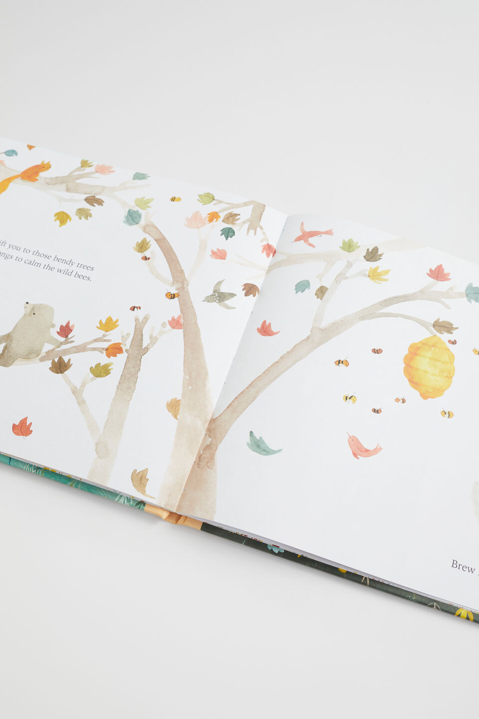 Welcome Baby to this World Book  Multi