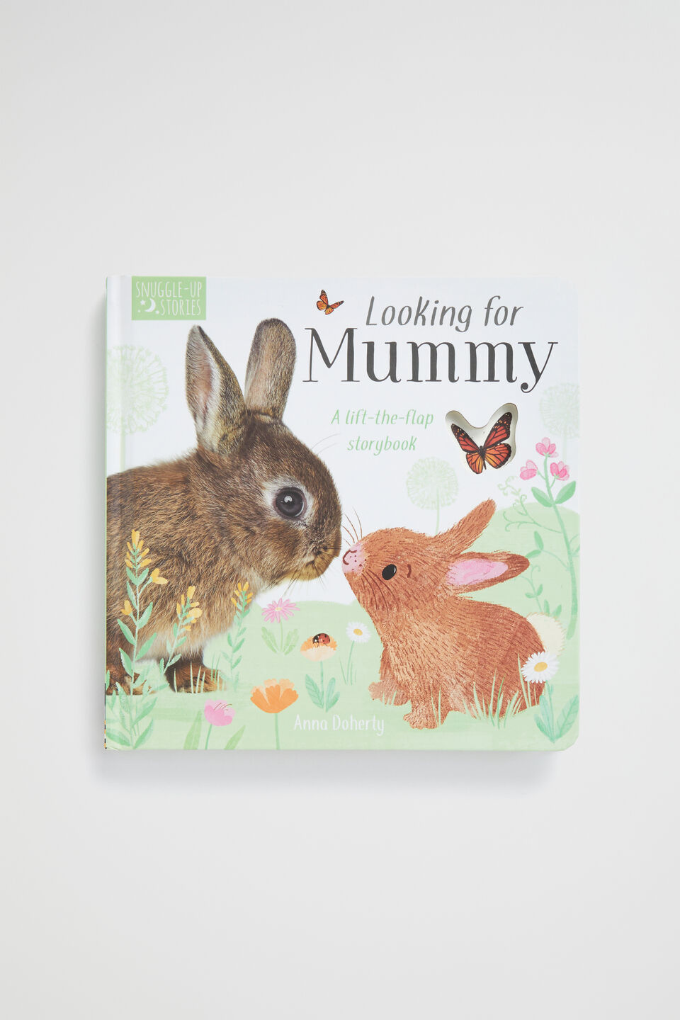 Looking for Mummy Book  Multi
