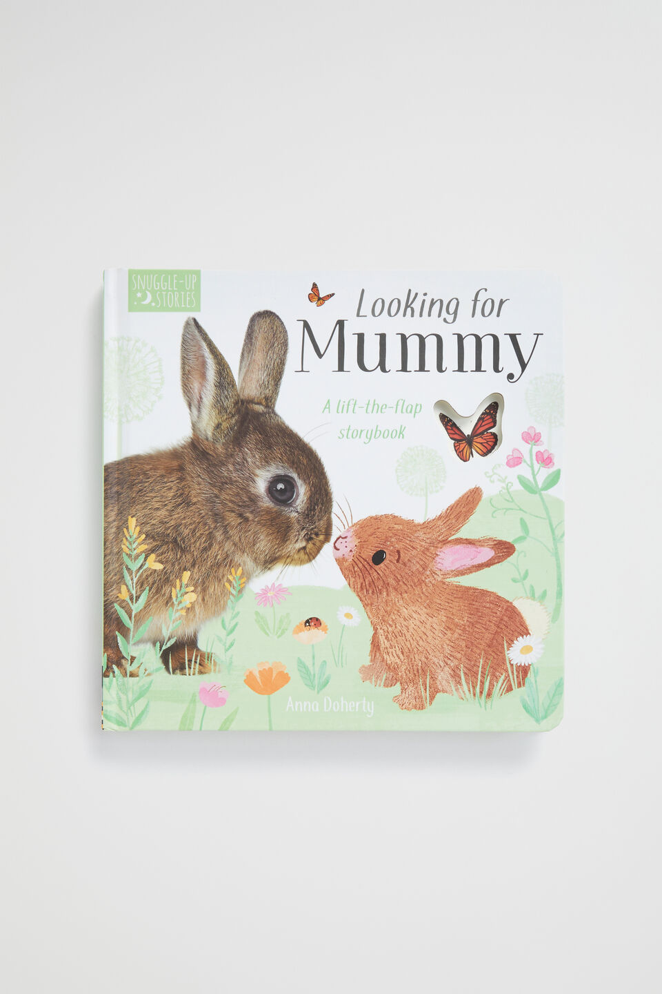Looking for Mummy Book  Multi  hi-res