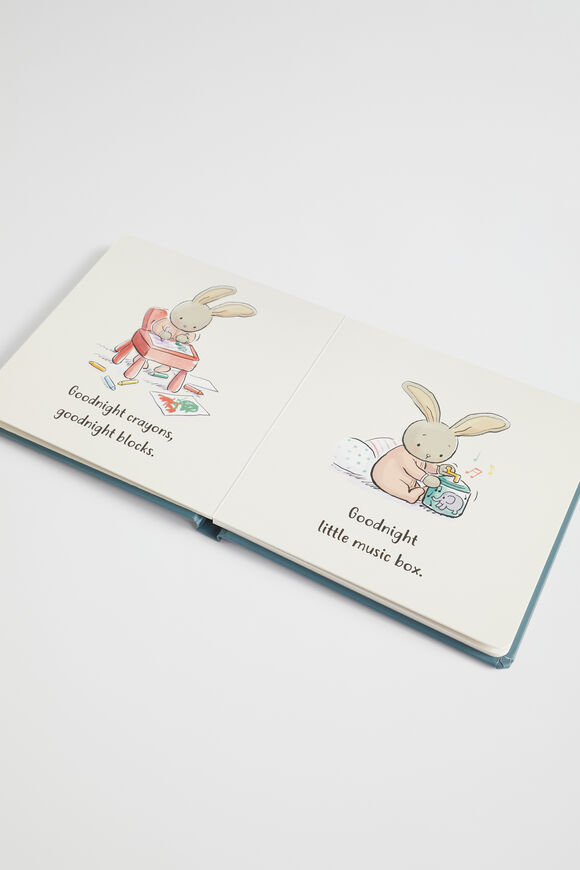 Goodnight Bunny Book  Multi  hi-res