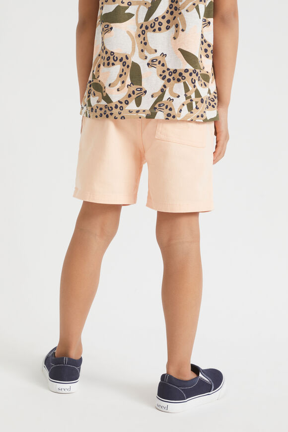 Core Logo Short  Flamingo  hi-res