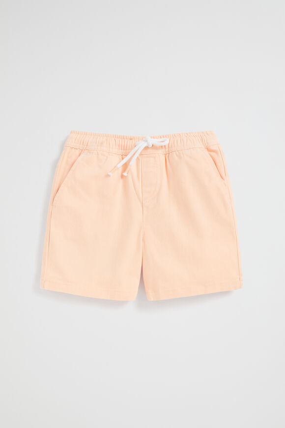 Core Logo Short  Flamingo  hi-res