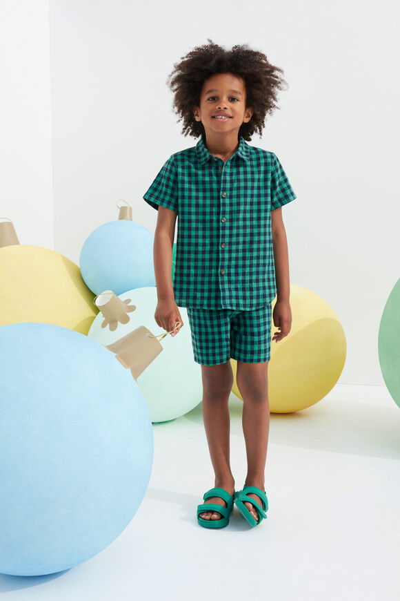 Check Shirt  Palm Green  hi-res