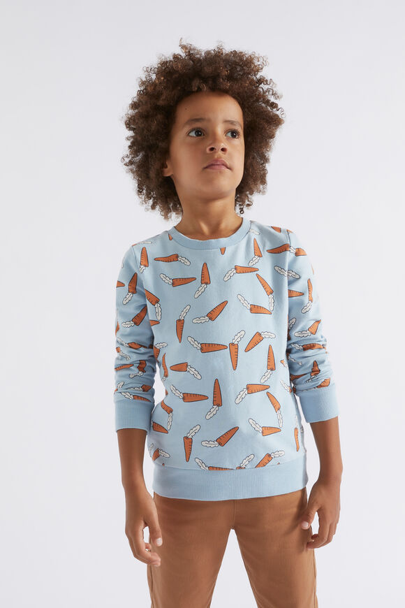 Carrot Sweat  Pale Blue  hi-res