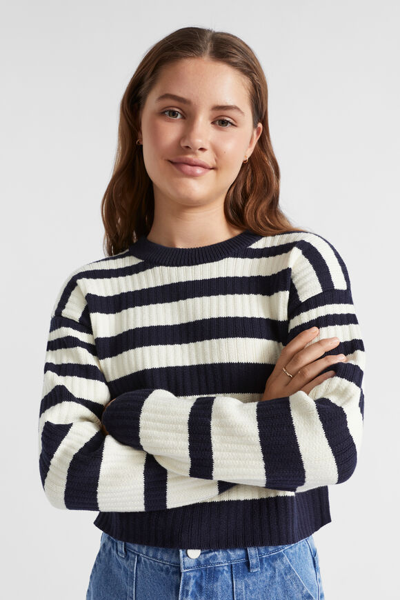 Stripe Rib Knit  Midnight Stripe  hi-res