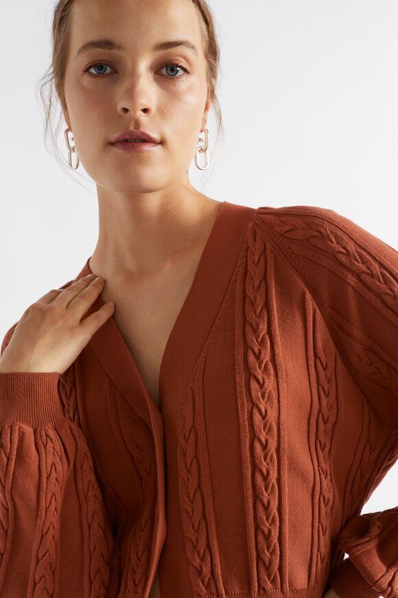 Relaxed Cable Cardigan  Burnt Brick  hi-res