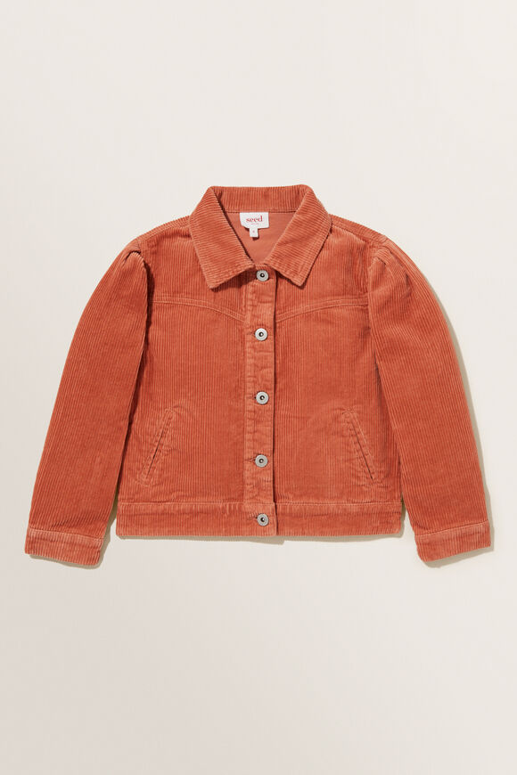 Corduroy Jacket  Clay  hi-res