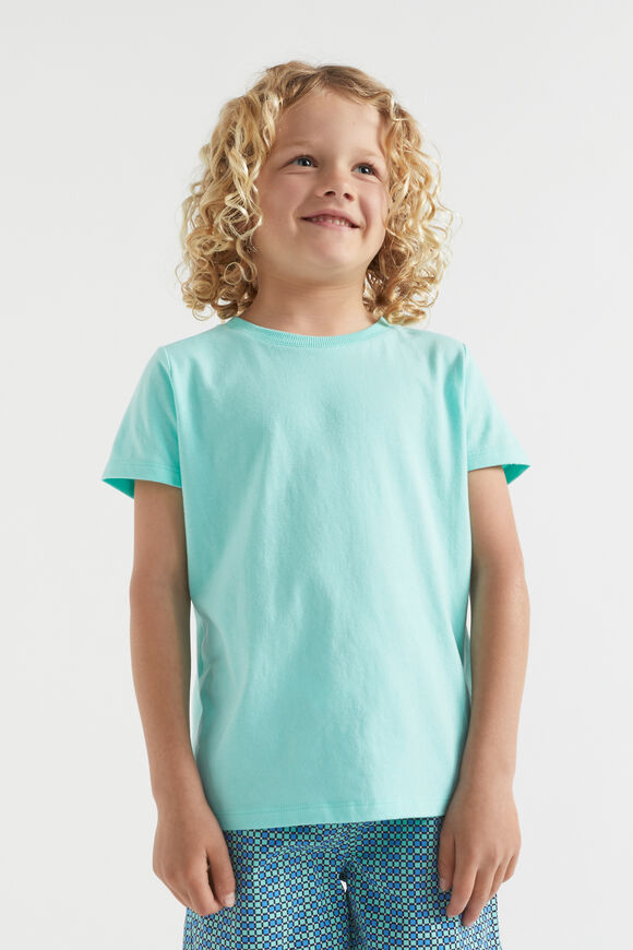 Core Basic Tee  Island Green  hi-res