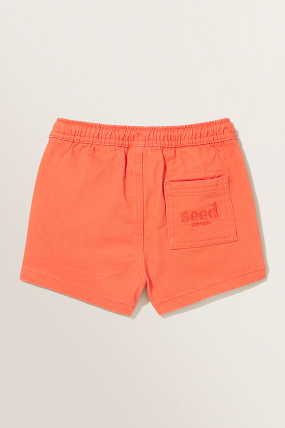 Core Logo Short  Coral  hi-res