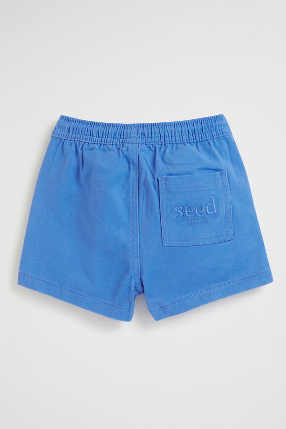 Core Logo Short  Bluebell  hi-res