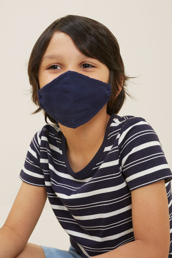 Face Mask  Navy  hi-res
