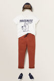 Bear Print Tee    hi-res
