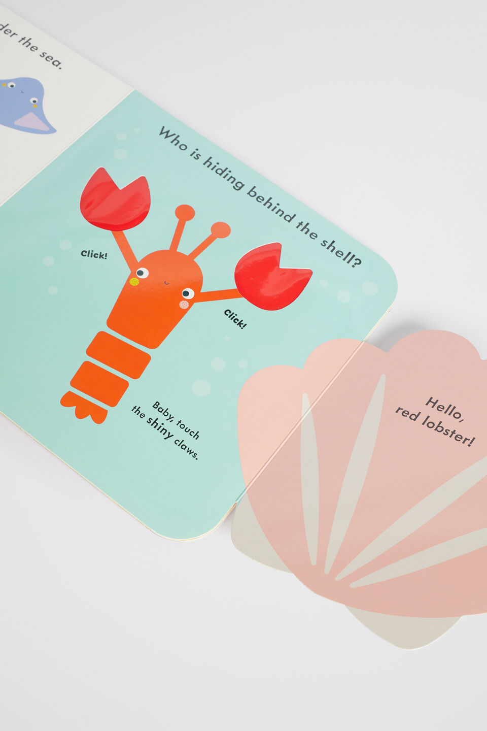 Hide and Seek Book  Multi