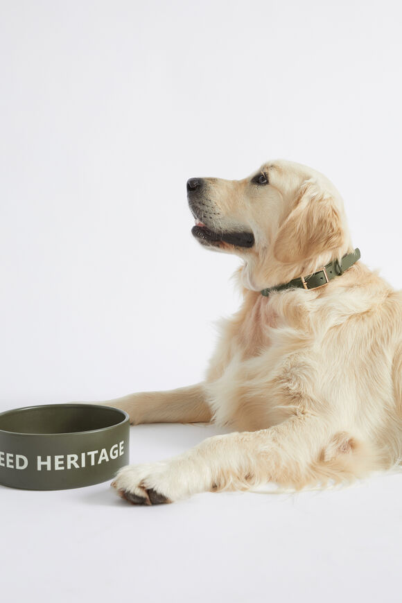 Pet Bowl  Dark Fern  hi-res