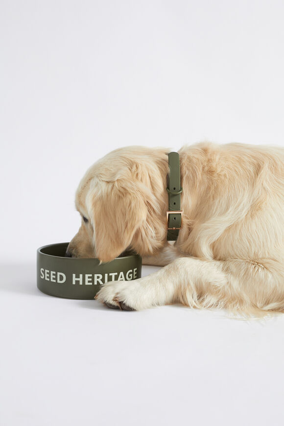 Pet Bowl  Dark Fern  hi-res