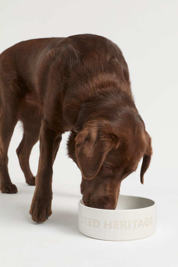 Pet Bowl  White  hi-res