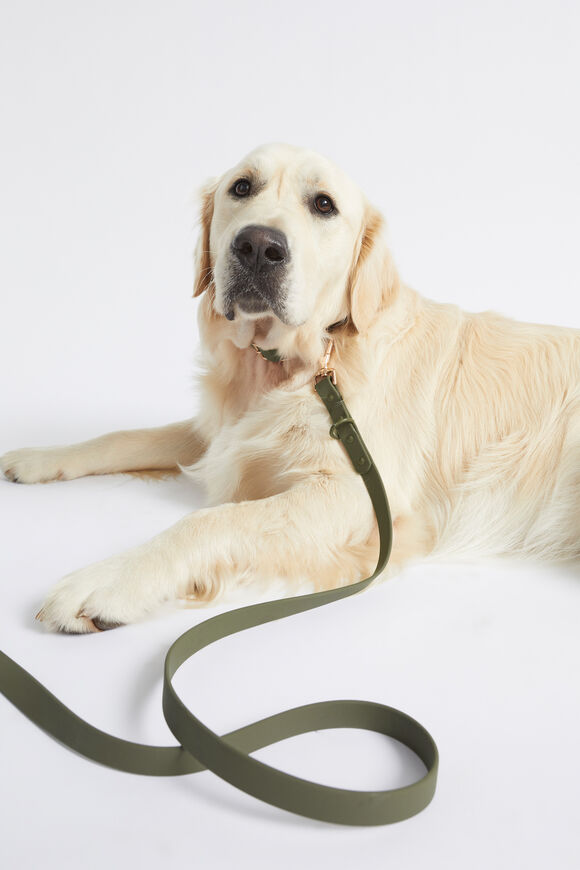 Pet Lead  Dark Fern  hi-res