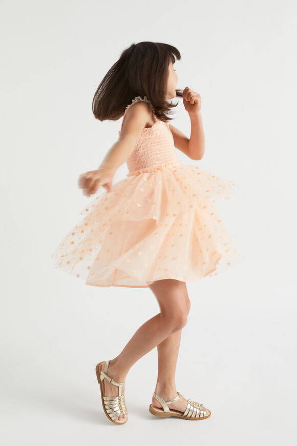 Embroidered Dress  Flamingo  hi-res