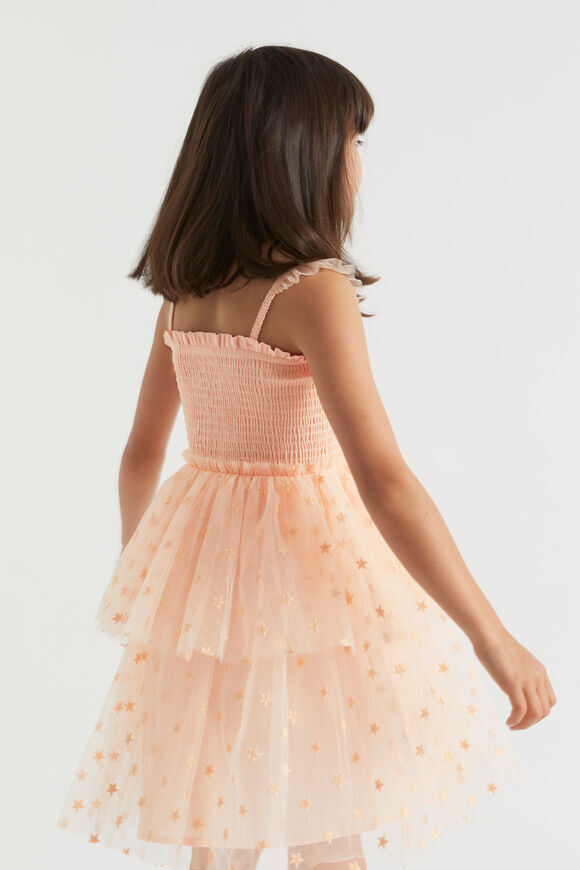 Embroidered Dress  Flamingo  hi-res