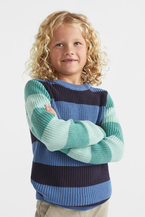 Stripe Crew Knit  Multi  hi-res