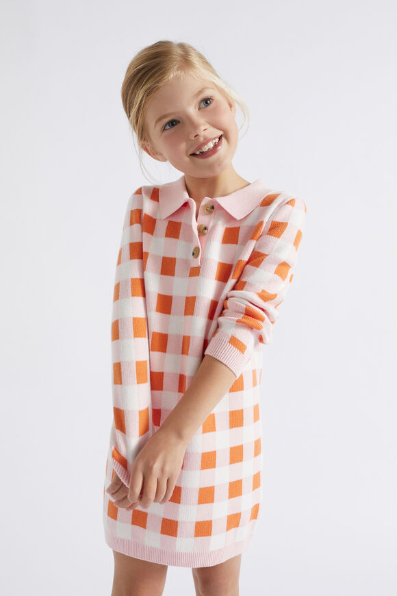 Gingham Knit Dress  Dusty Rose  hi-res