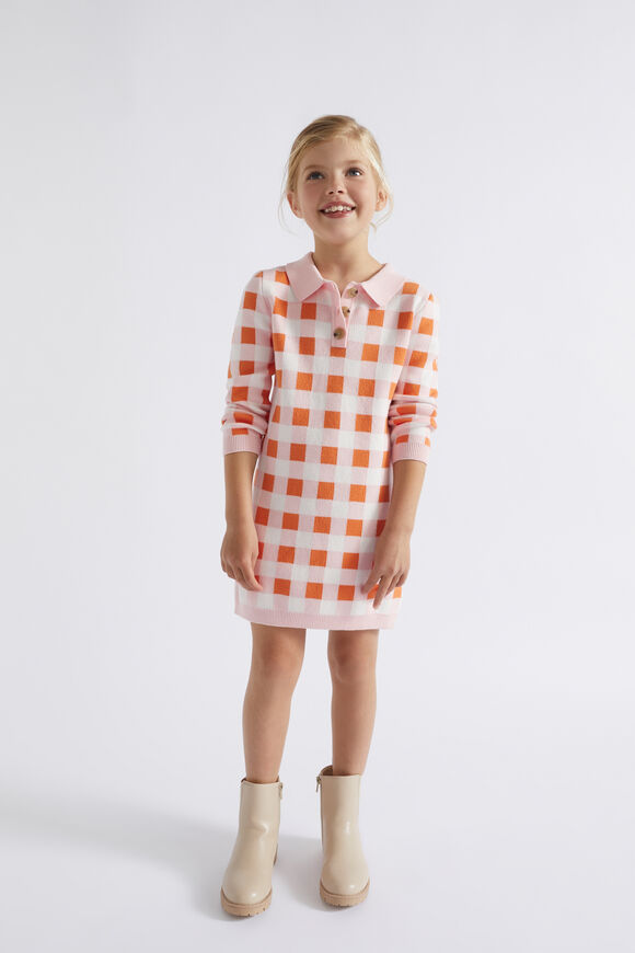 Gingham Knit Dress  Dusty Rose  hi-res
