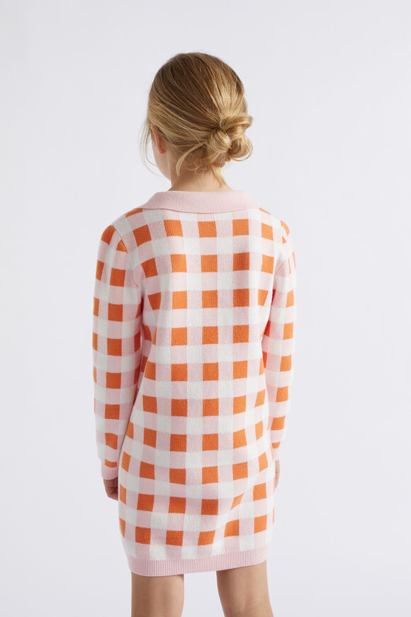 Gingham Knit Dress  Dusty Rose  hi-res