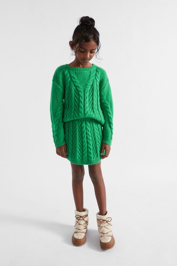 Linear Knit Cable Skirt  Pea Green  hi-res