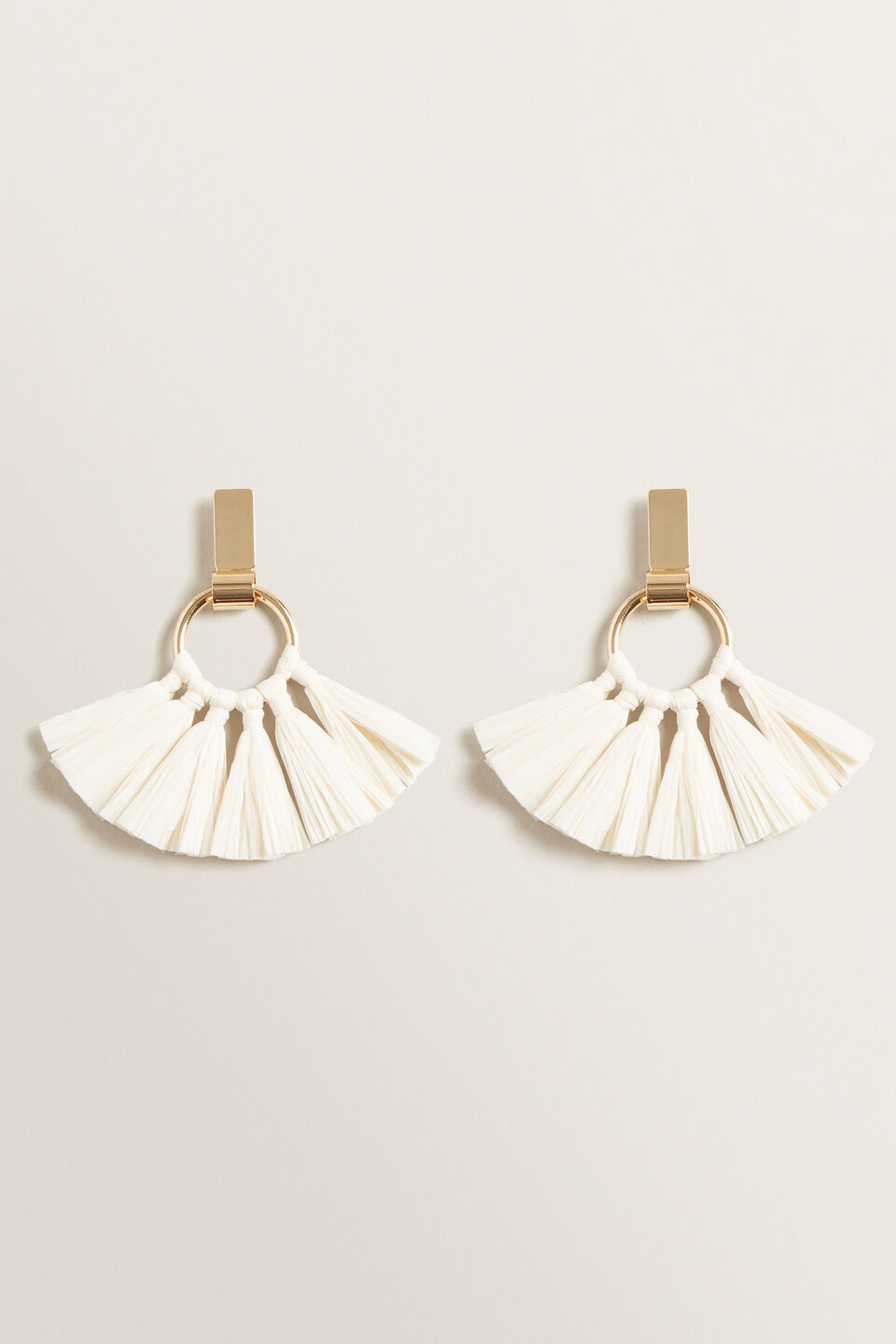 Circle Tassel Earring  