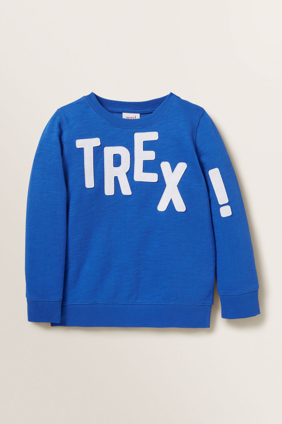 Felt Slogan Windcheater  