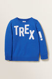 Felt Slogan Windcheater    hi-res