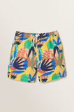 Leaf Boardshorts    hi-res