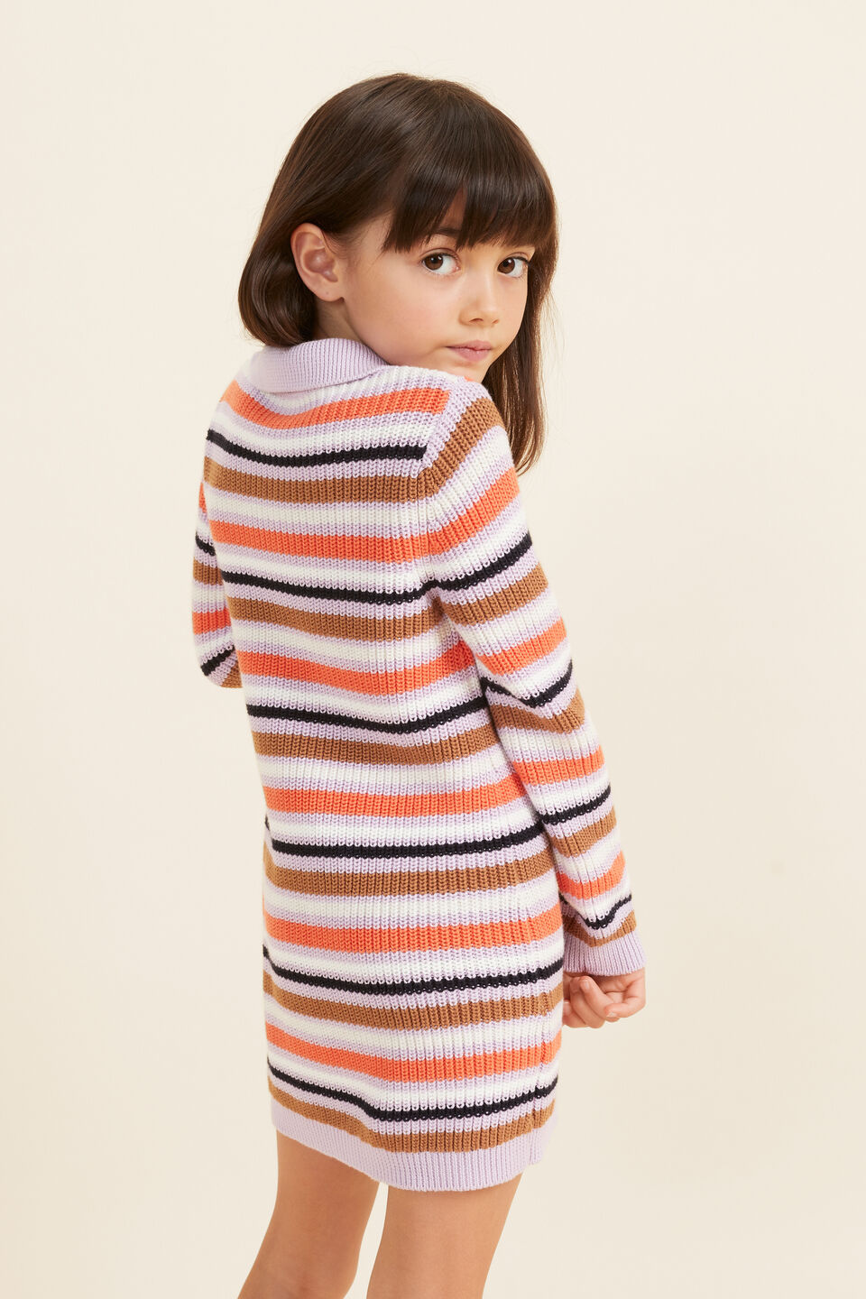 Stripe Knit Dress  Multi