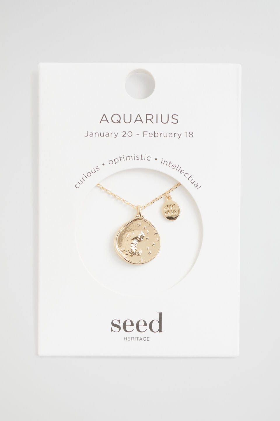 Zodiac Necklace  Aquarius