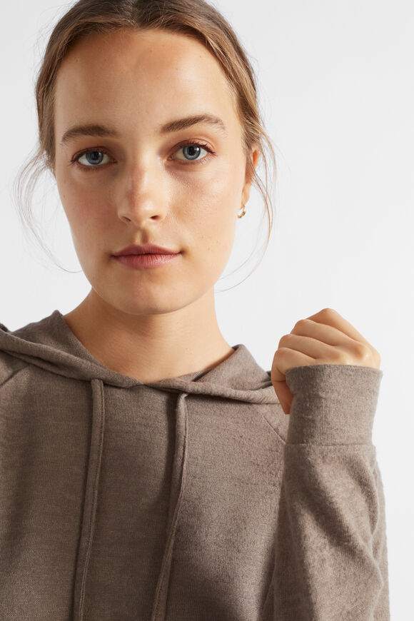 Supersoft Raglan Hoodie  Hazel Marle  hi-res