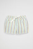Stripe Short  Multi  hi-res