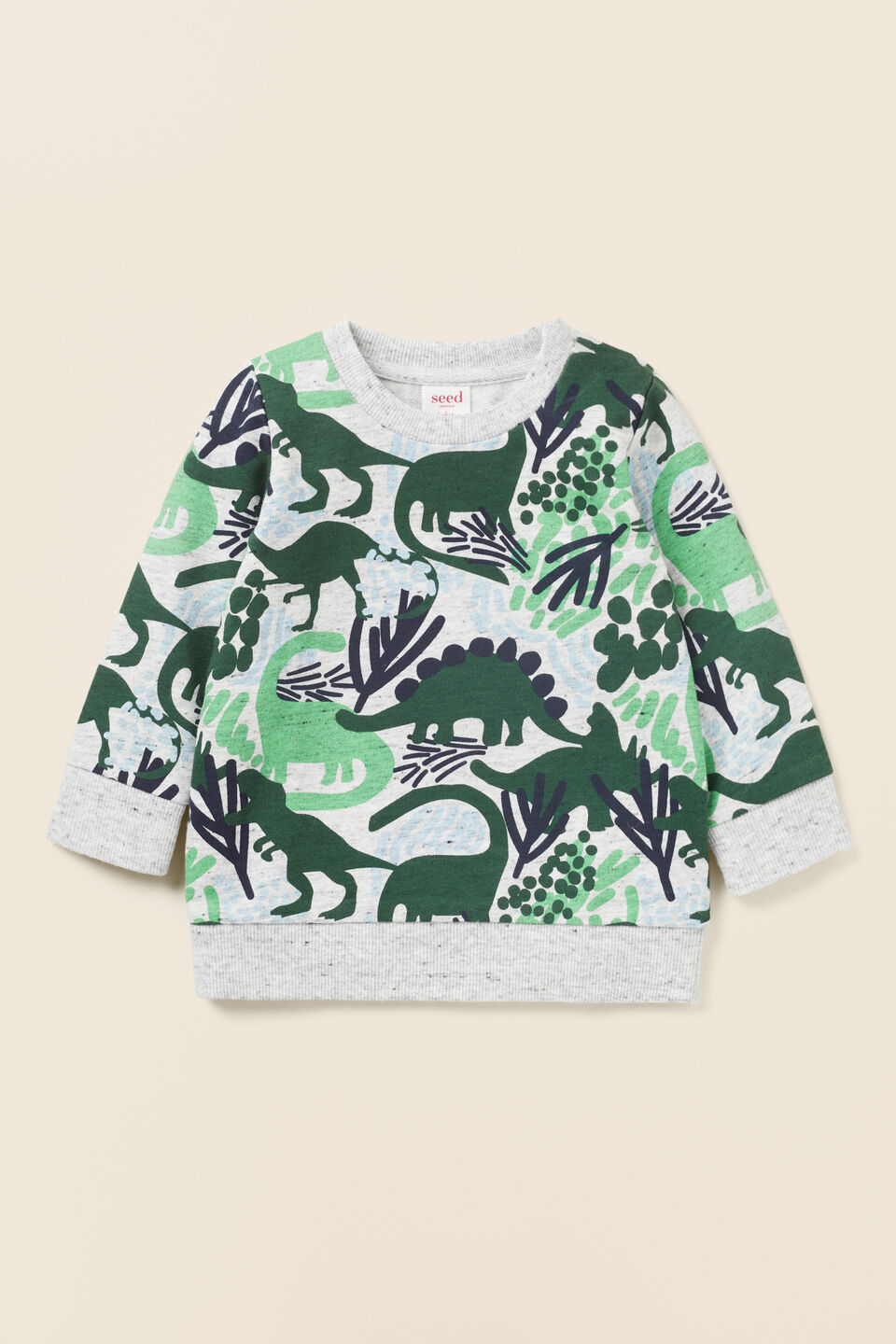 Dinosaur Sweat  Cloudy Marle