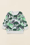 Dinosaur Sweat  Cloudy Marle  hi-res
