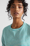Long Sleeve Stripe Top  Peacock Vanilla Stripe  hi-res