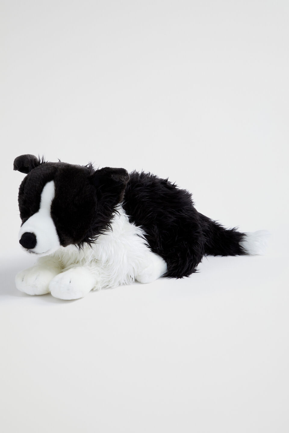 Living Nature Large Border Collie | Seed Heritage