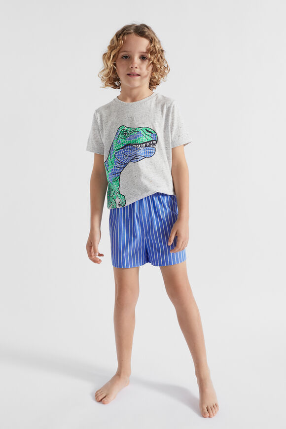 Dinosaur Pyjama  Cloudy Marle  hi-res