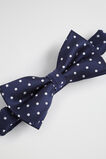 Spot Bow Tie  Multi  hi-res