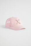 Glitter Initial Cap  X  hi-res