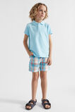 Check Short  Multi  hi-res