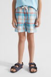 Check Short  Multi  hi-res