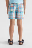 Check Short  Multi  hi-res